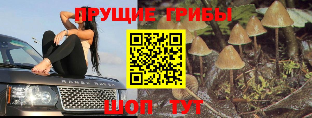 купить  сайты  Псилоцибиновые грибы MAGIC MUSHROOMS  Вход с VPN  Псилоцибиновые грибы ЛСД  Подольск 